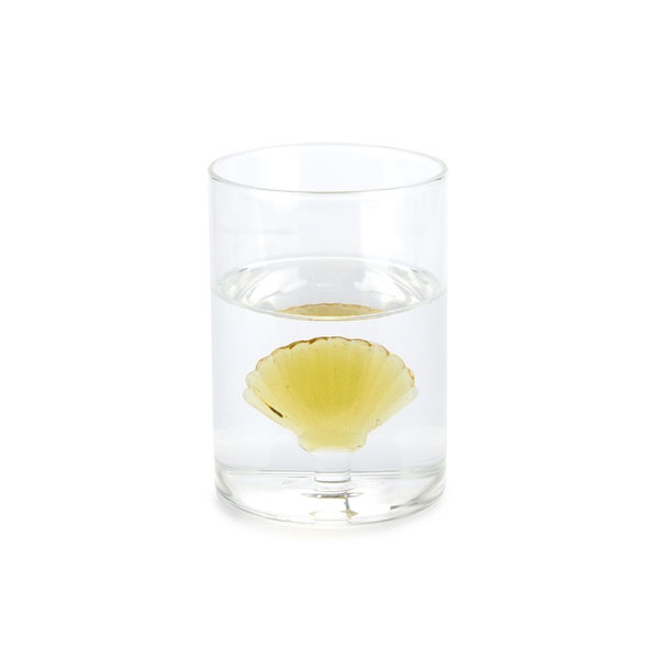 Balvi Vaso Atlantic Shell Color amarillo Hecho a mano en borosilicato Vidrio 300 ml