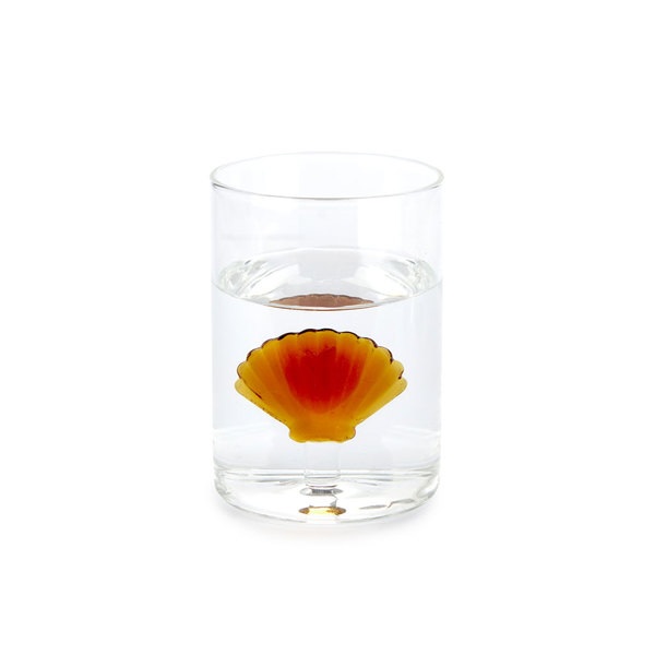 Balvi Glas Atlantic Shell Farbe Bernstein Handgemacht aus Borosilikatglas 300 ml