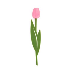 alvi Marcapáginas Tulip Color rosa Punto de lectura para libros en forma de tulipán de color, fino y