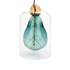 Balvi Seed Grower Avocado Vase Green color Glass
