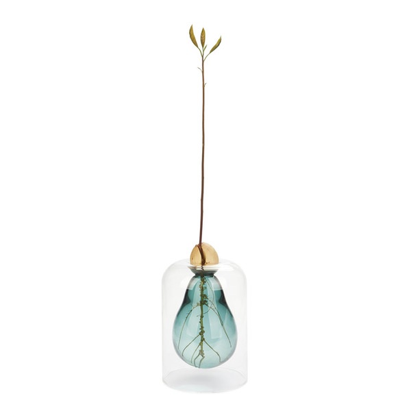 Balvi Seed Grower Avocado Vase Green color Glass