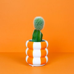 Balvi Maceta Floats Color naranja Con forma de flotadores apilados Cerámica 12x11x11 cm
