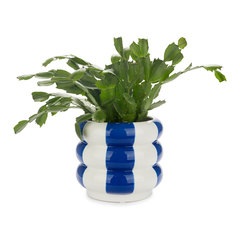 alvi Coprivaso per piante Floats Colore blu A forma di salvagenti impilati Ceramica 14,5x16,5x16,5 c