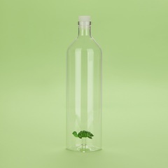 alvi - Turtle Balvi Botella Turtle Con figura en forma de tortuga verde en el interior Borosilicato