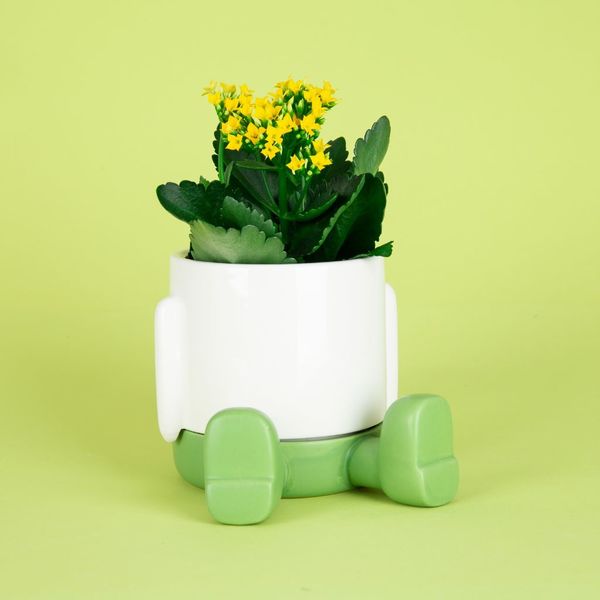 alvi Maceta MrSitty Color verde y blanco Tiesto para plantas en forma de personaje simpático Con bas