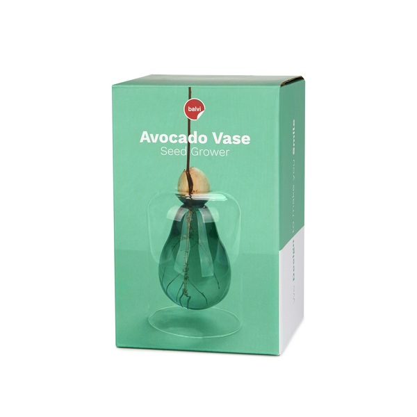 Balvi Seed Grower Avocado Vase Green color Glass