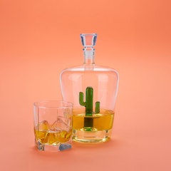 Balvi Botella para licor Cactus Color verde Apta para cualquier licor Vidrio