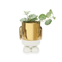 Balvi Mini maceta Mr Standy Gold Edition Color dorado Su parte inferior recoge el agua Cerámica