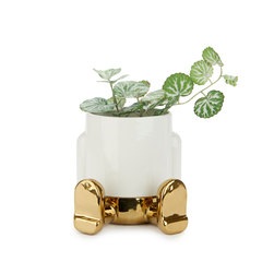 alvi Mini vaso da fiori Mr Sitty Gold Edition Colore oro La parte inferiore raccoglie l'acqua Cerami