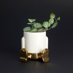 alvi Mini vaso da fiori Mr Sitty Gold Edition Colore oro La parte inferiore raccoglie l'acqua Cerami