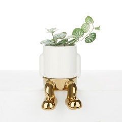alvi Mini pot de fleur Mr Dangly Gold Edition Couleur doré La partie inférieure récupère l'eau Céram